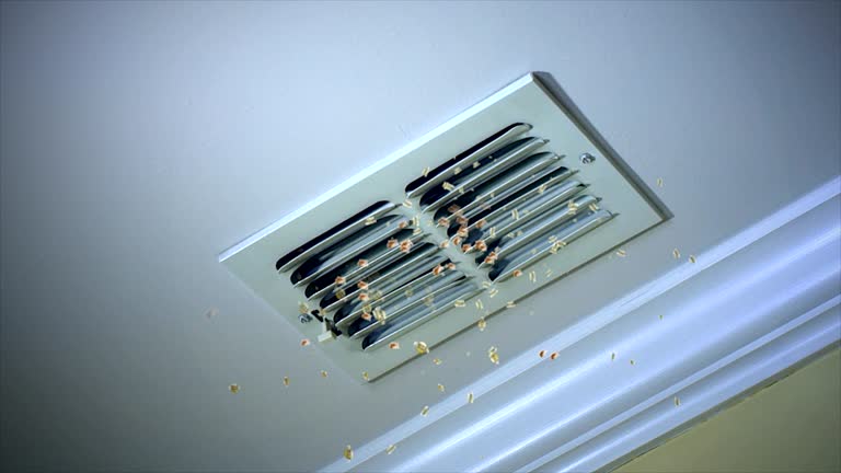 Best Air Vent Cleaning Services  in Newport, RI